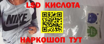 амф Донской